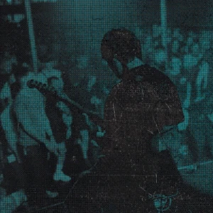 festival muziq 2027